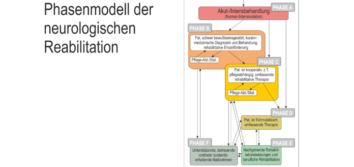 Formen Der Neurologischen Rehabilitation – NeuroINDEX – Datenbank Für ...